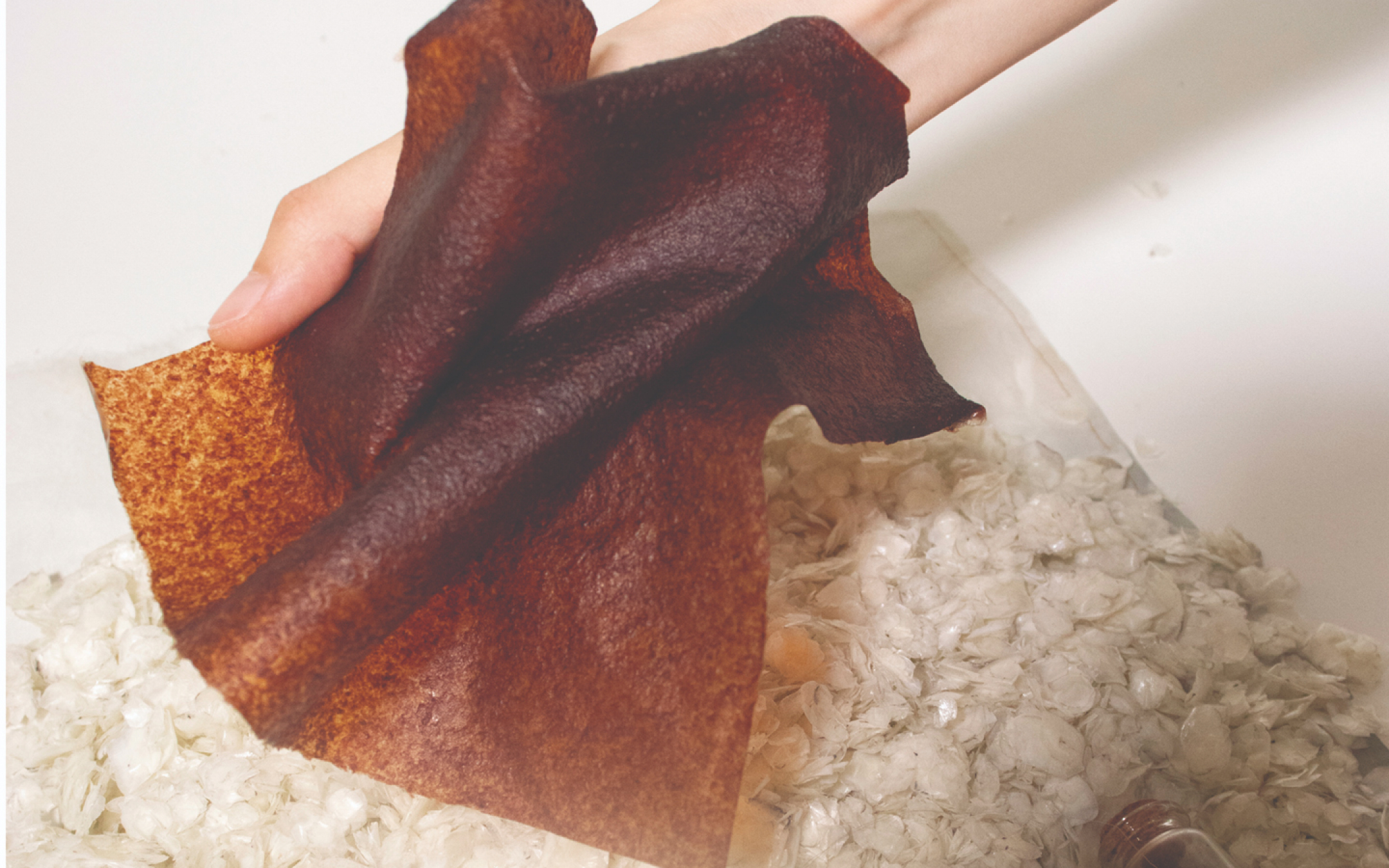 Fragmentos de la costa menguante