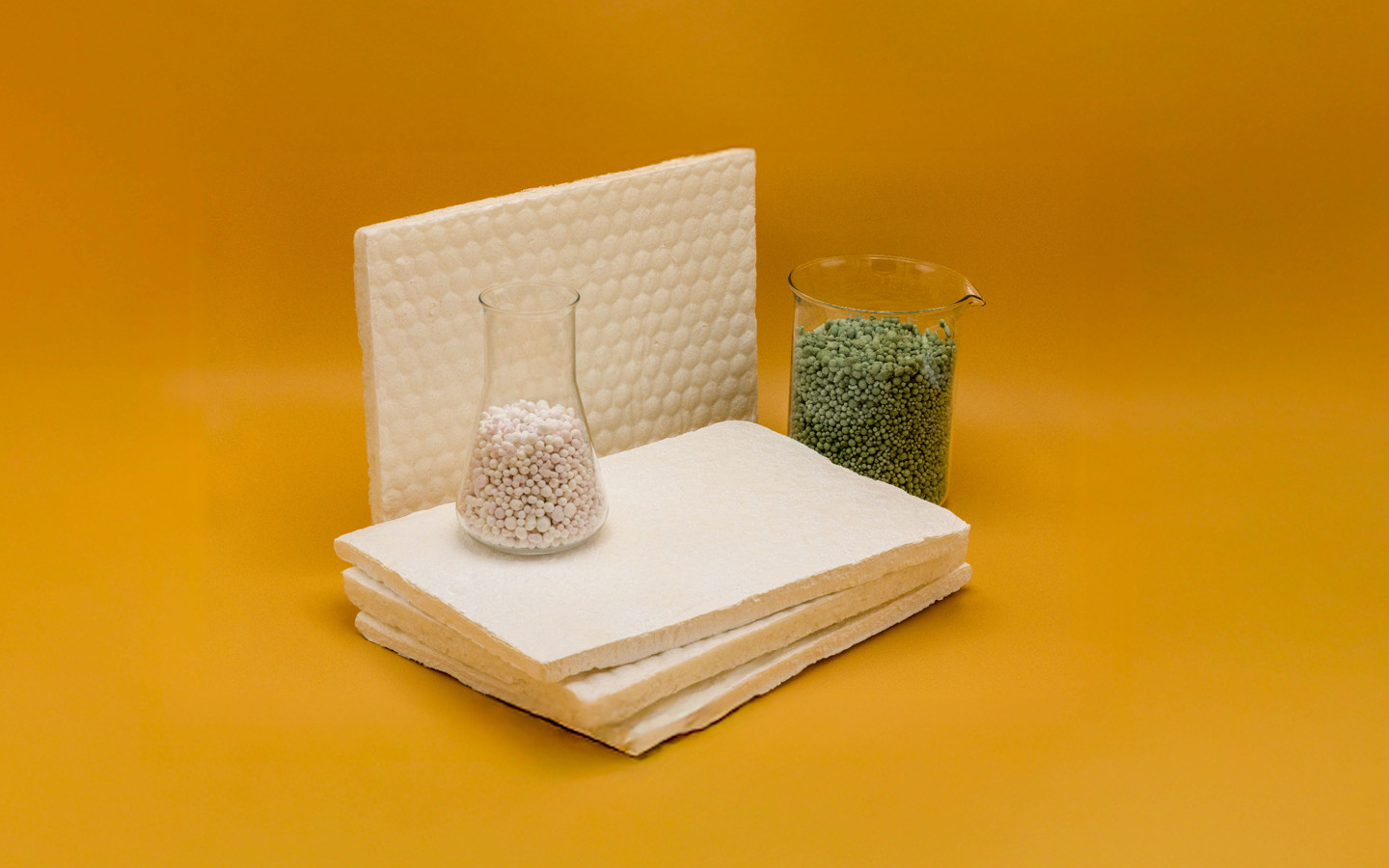 Bacterial Cellulose Foam