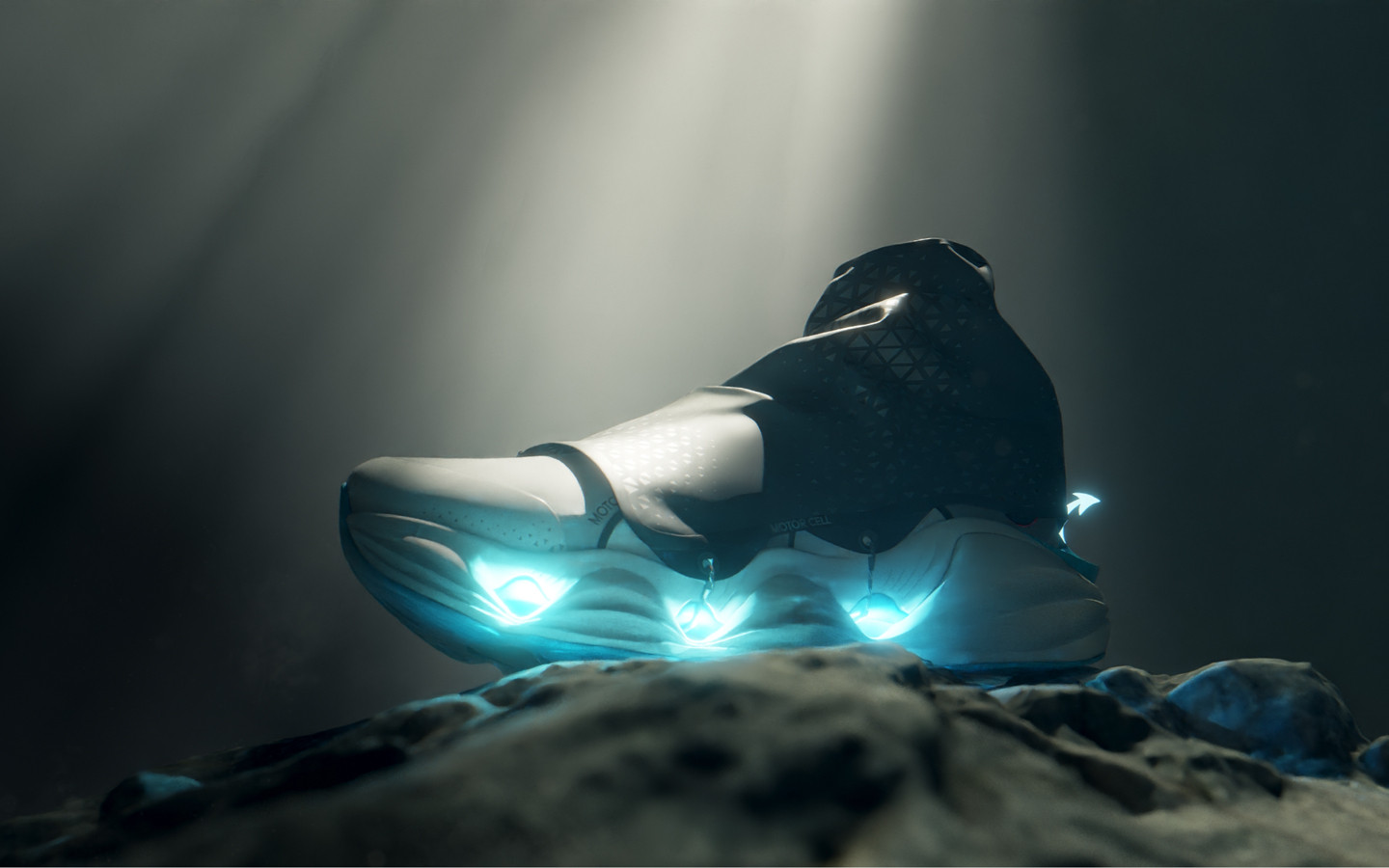 Smart Wearable Shoes