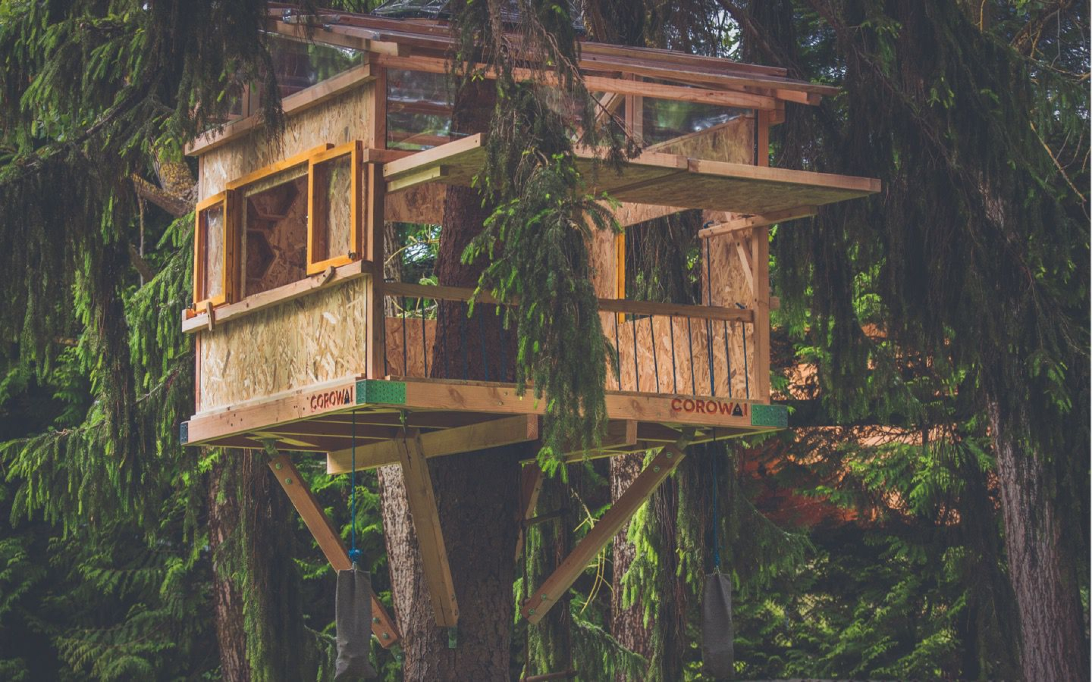 DIY Tree House