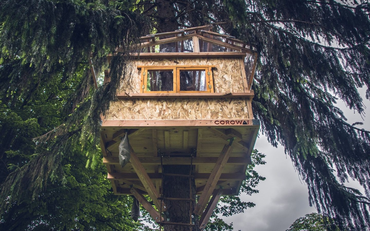 DIY Tree House