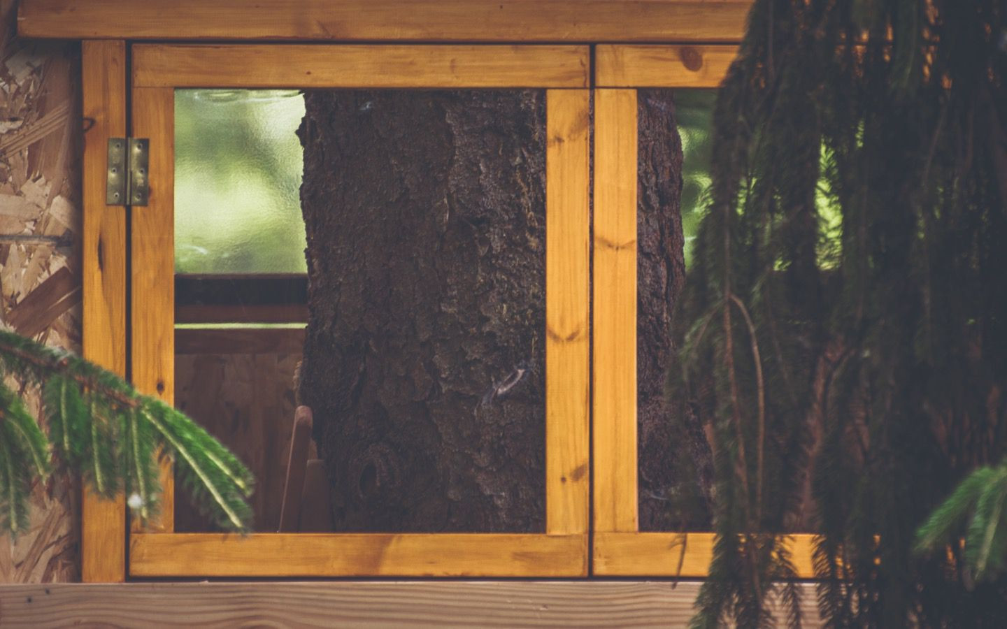 DIY Tree House