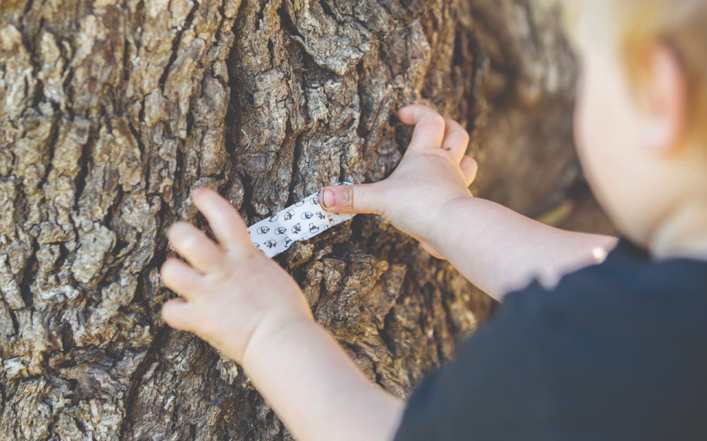 PATCH Bamboo Bandages