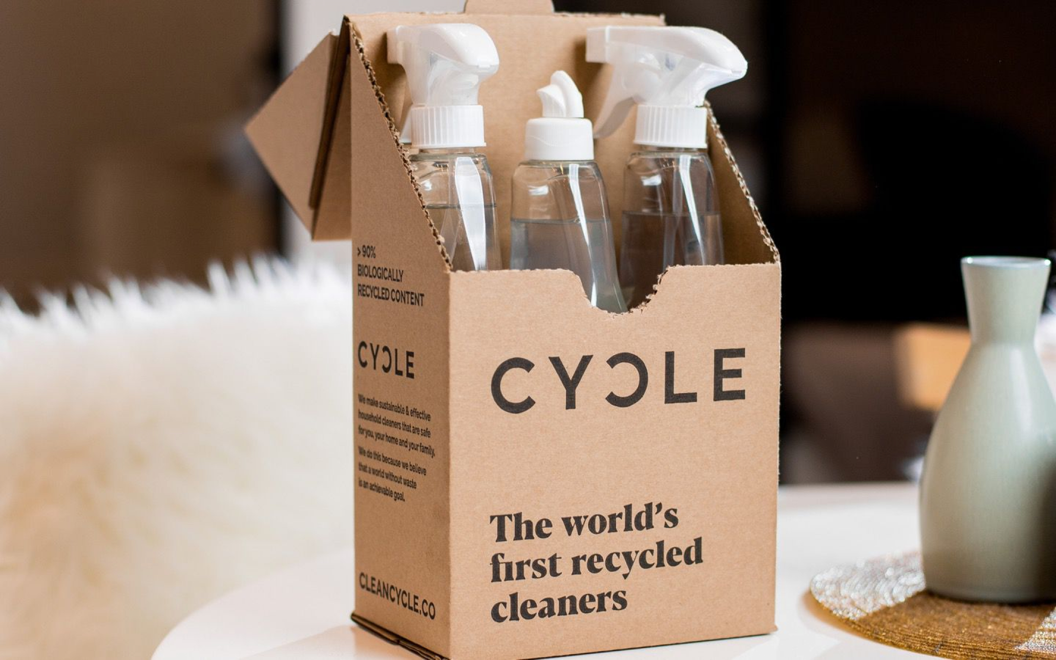 Cycle Household Cleaners