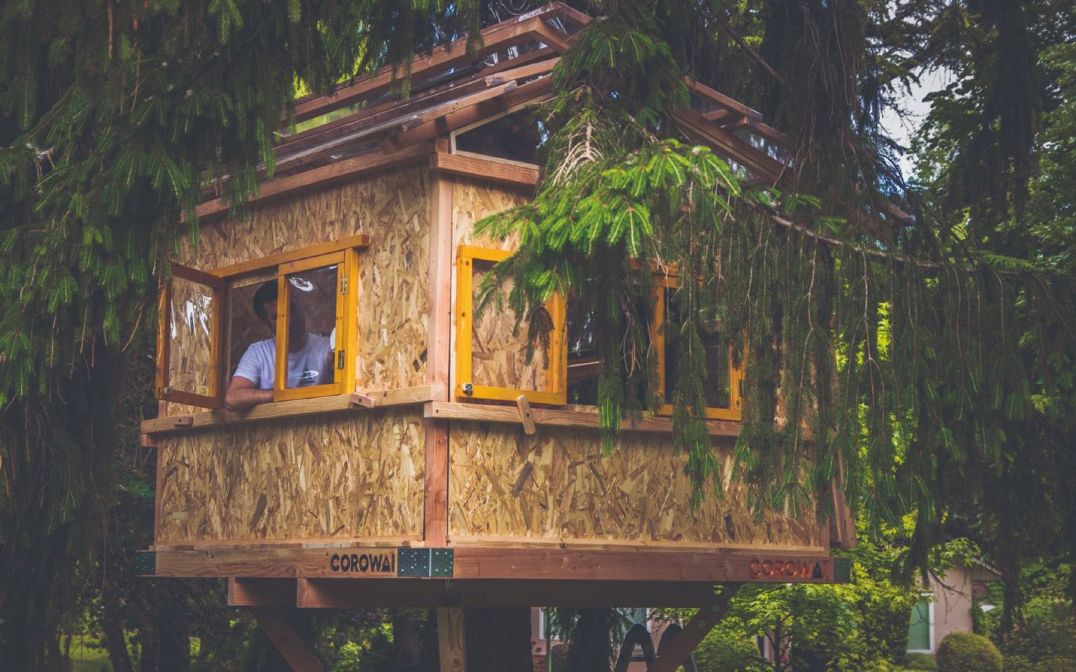 DIY Tree House