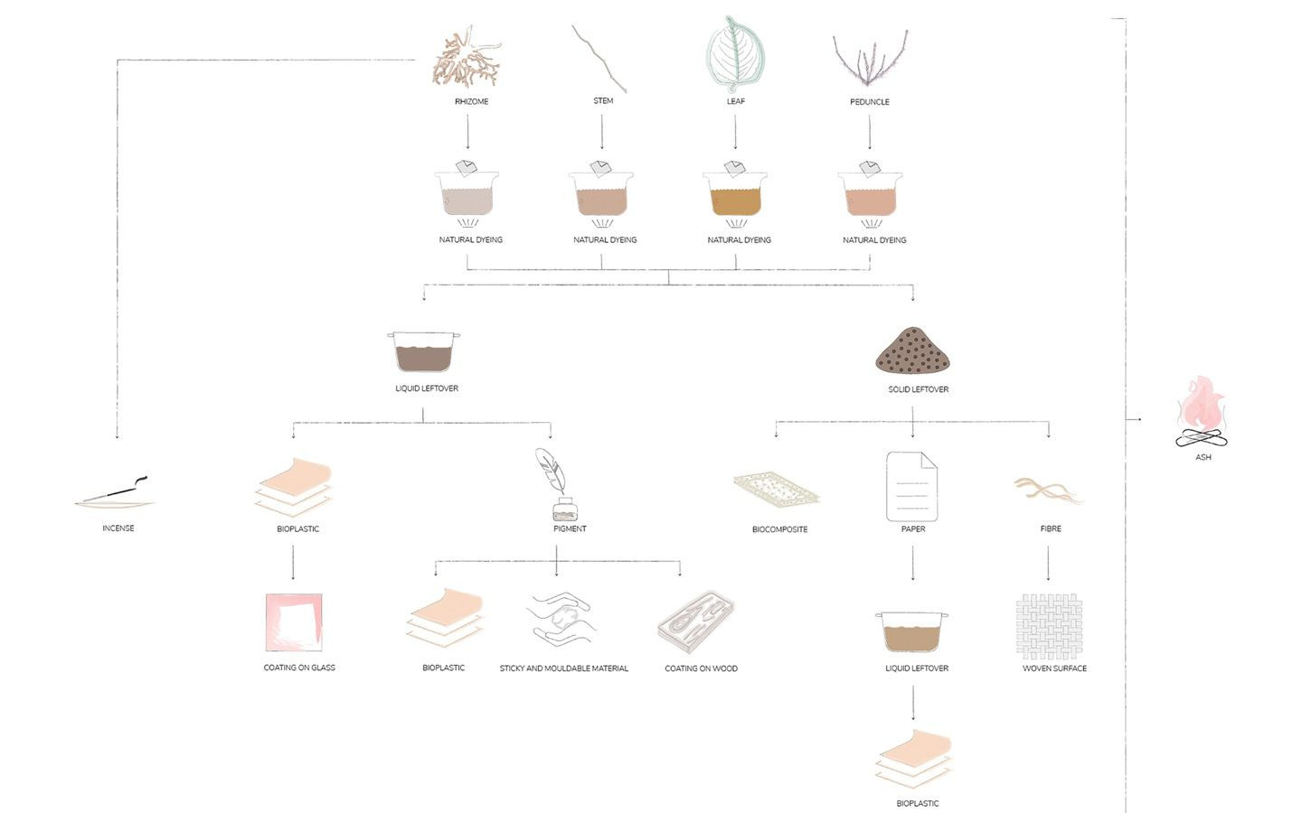 Japanese Knotweed Project