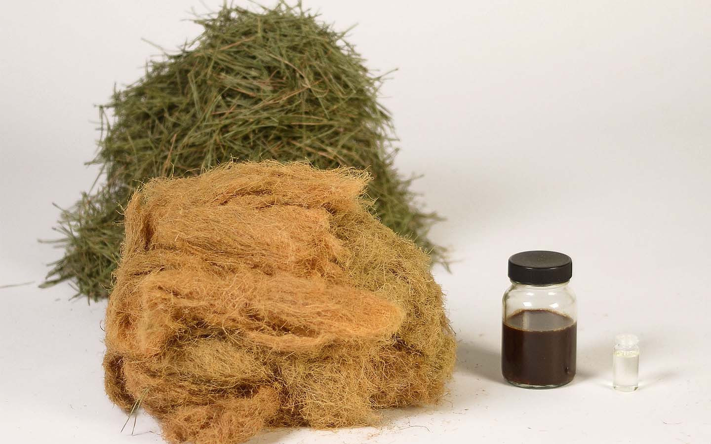 Forest Wool/Pine needle fiber