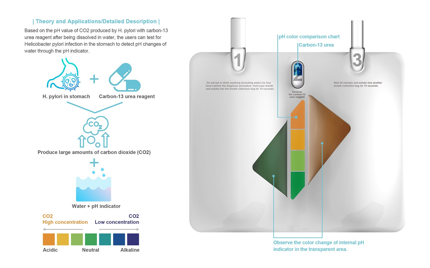 H. pylori personal test kit