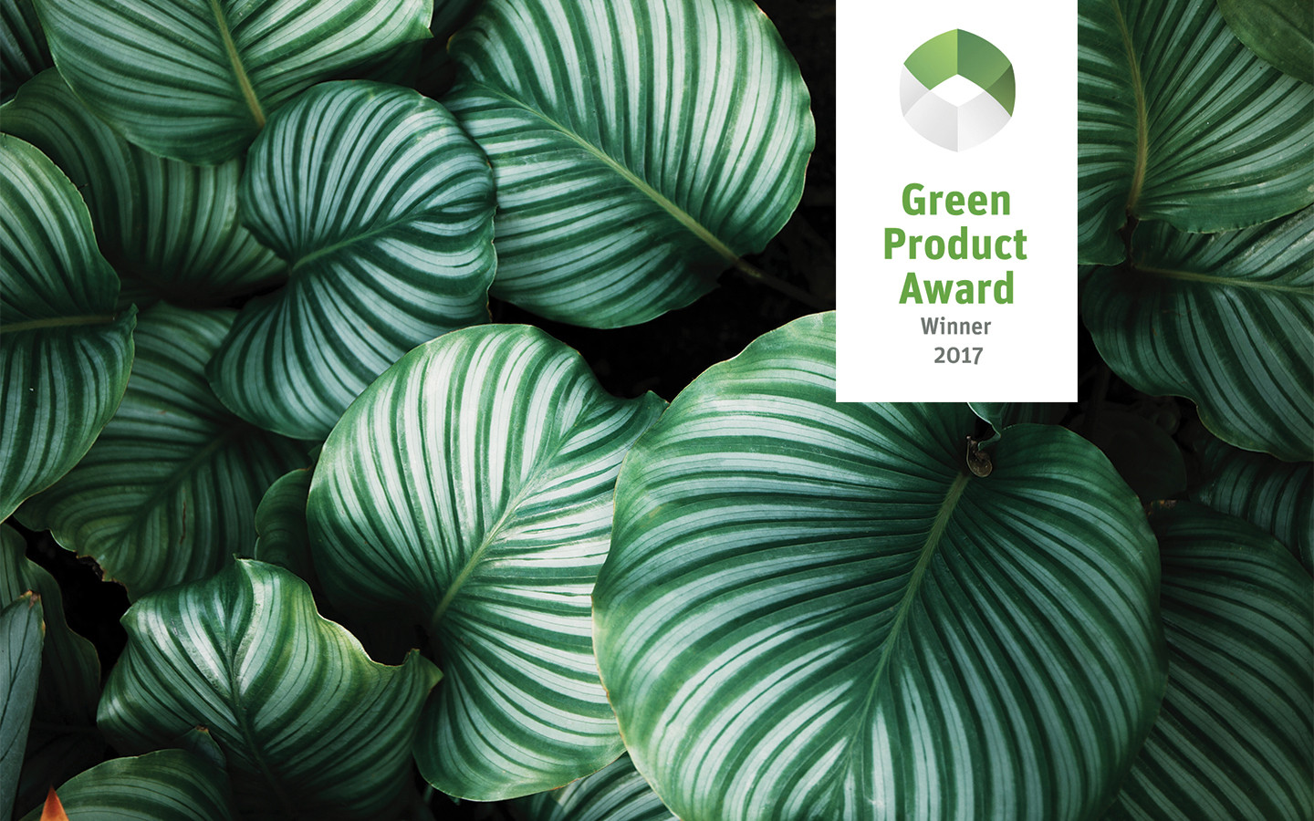 Die Gewinner des Green Product Award 2017