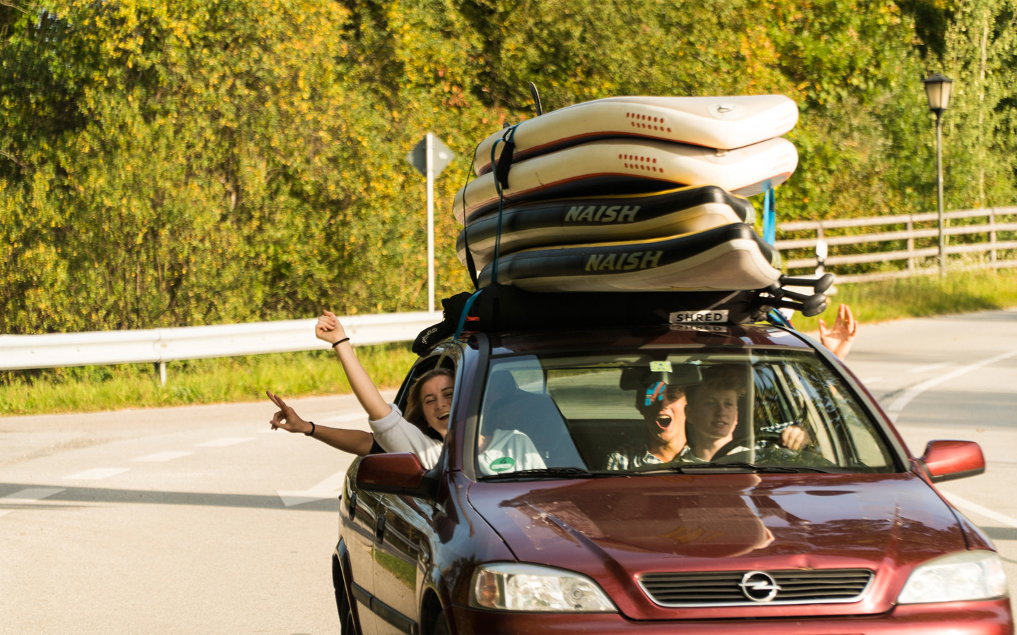 SHRED RACK